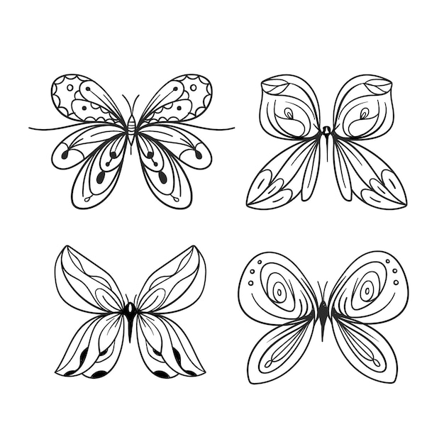 Butterfly outline with drawn details collection