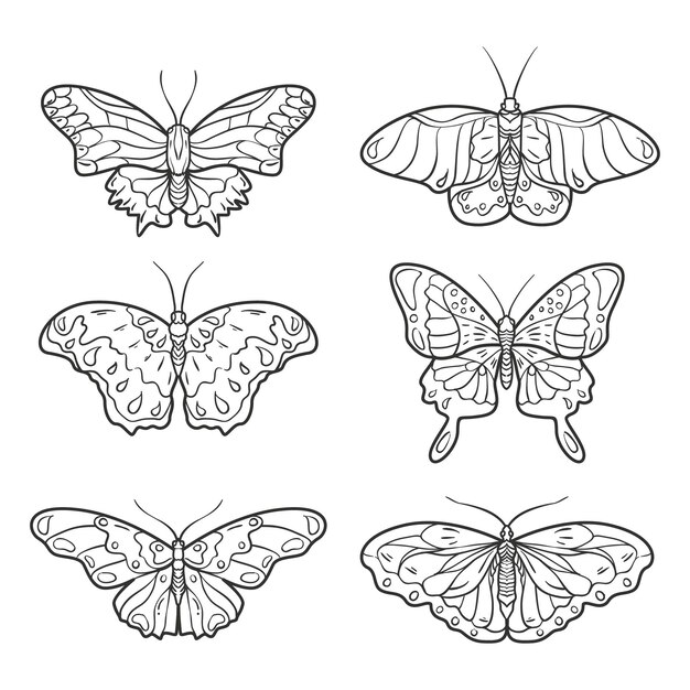 Butterfly outline with drawn details collection