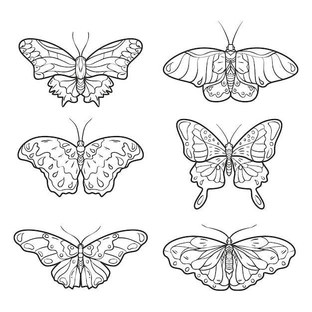 Контур бабочки с коллекцией нарисованных деталей