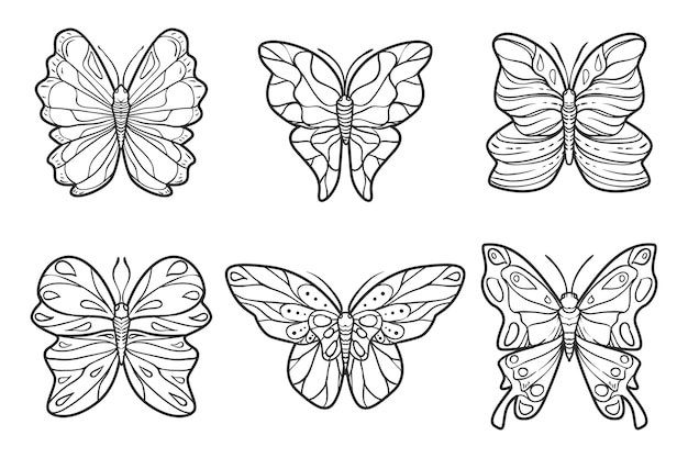 Free vector butterfly outline with drawn details collection
