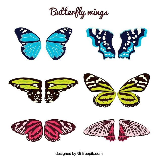 Butterfly wings pack