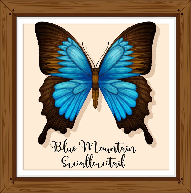 Butterfly on wooden frame
