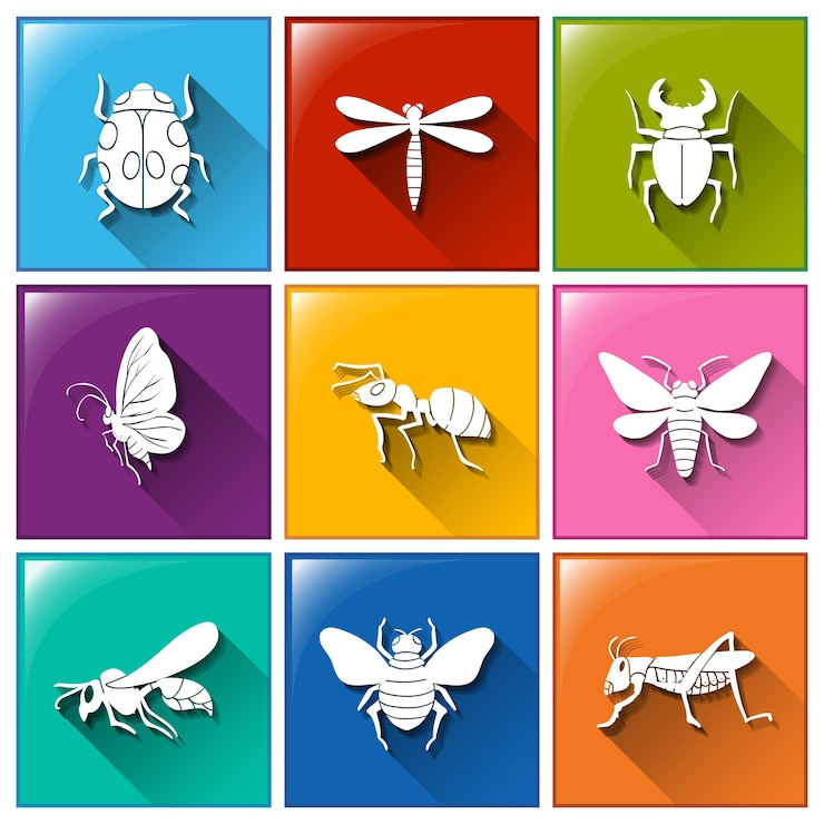 Free Vector buttons with the different type of insects