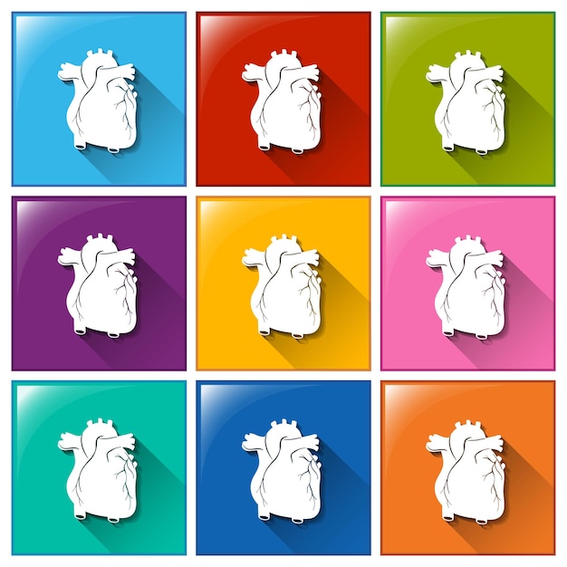 Free vector buttons with heart organs