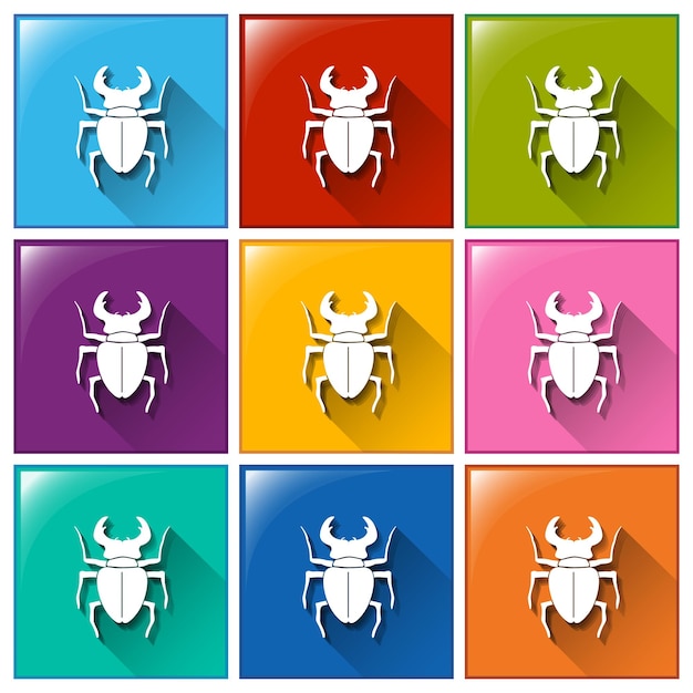 Free vector buttons with insects