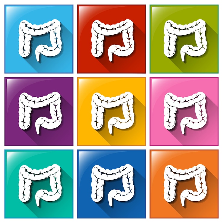 Free Vector buttons with internal organs