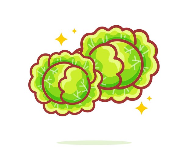 Cabbage hand drawn cartoon art illustration