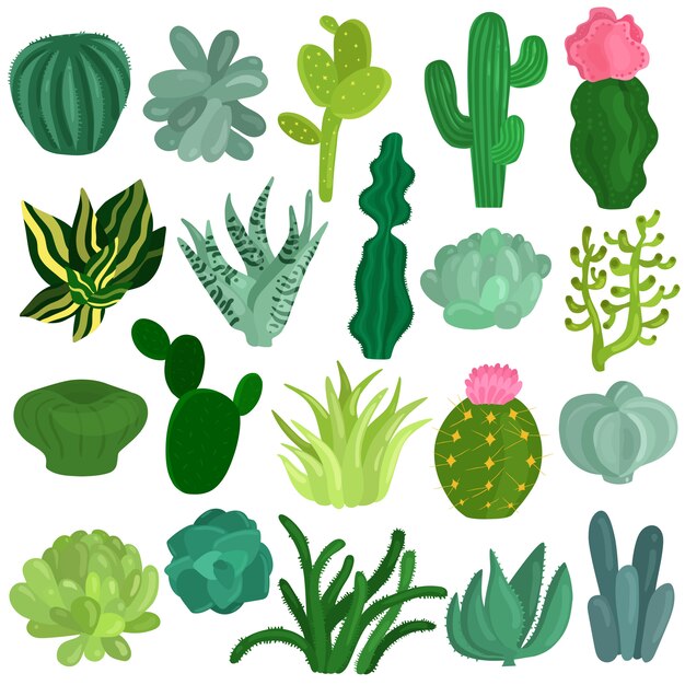 Cacti Succulents Plants Flat Set