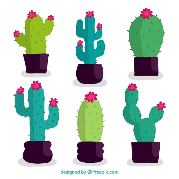 Vettore gratuito collezione di cactus con stile divertente