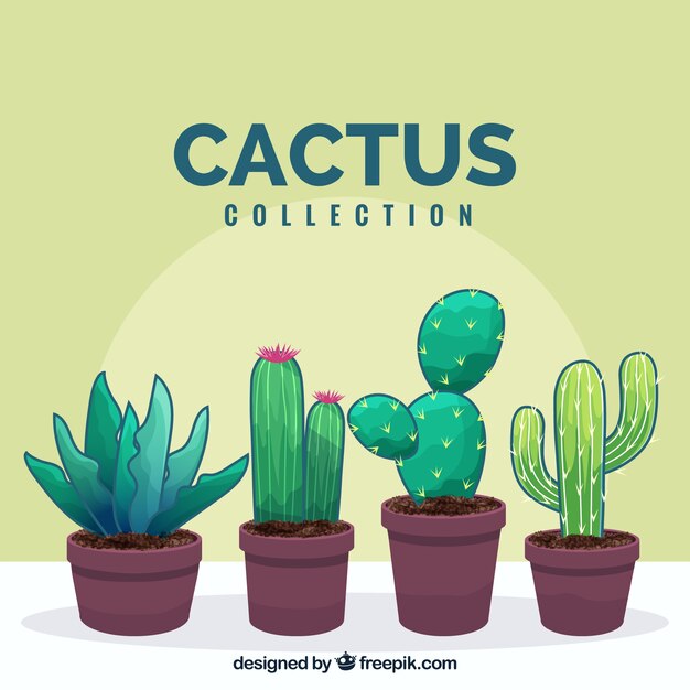 Коллекция кактусов с ручным рисунком
