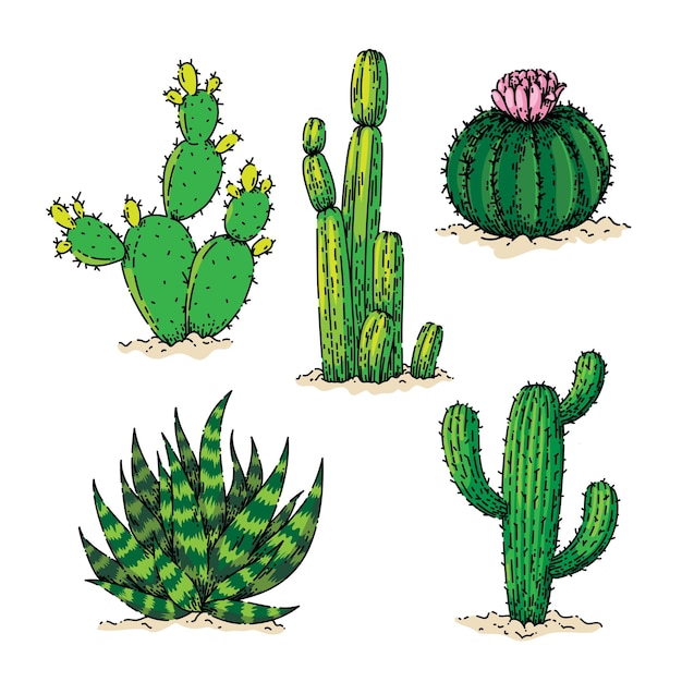 Vettore disegnato a mano di schizzo del dessert del cactus