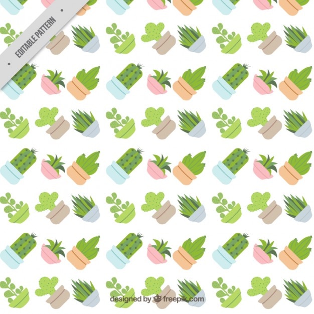 Cactus flat design pattern