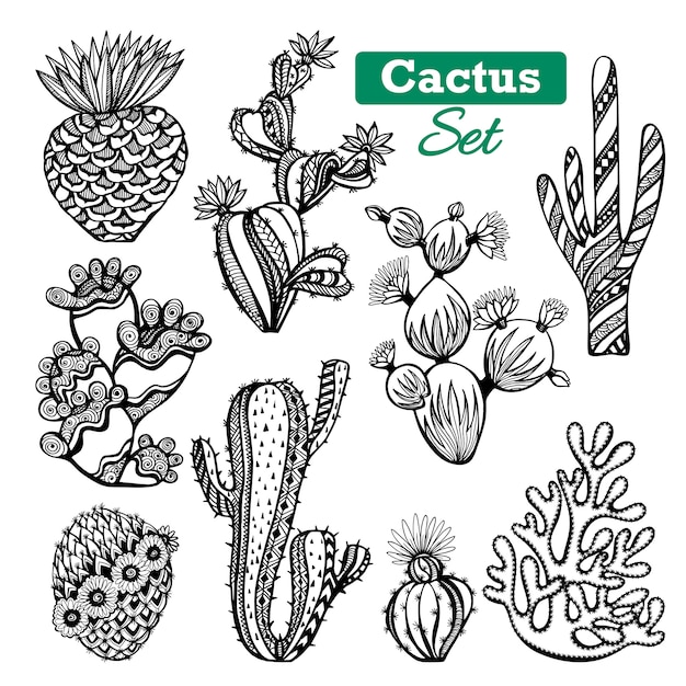 Набор кактусов кактусов