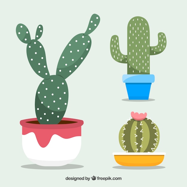 Free vector cactus pack with lovely style