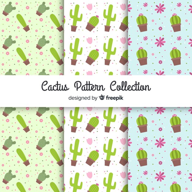 Cactus pattern collection