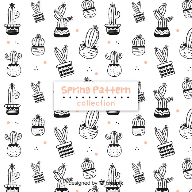 Cactus pattern collection