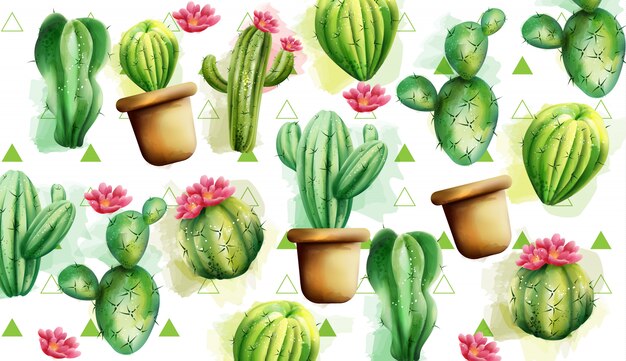 Cactus pattern with green triangles in background. Cactus with flowers