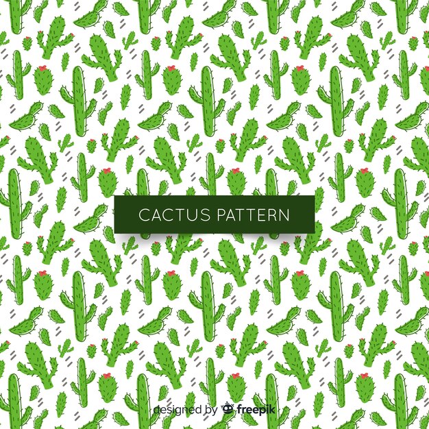 Cactus pattern