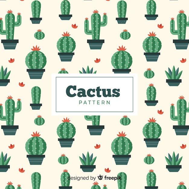 Cactus pattern