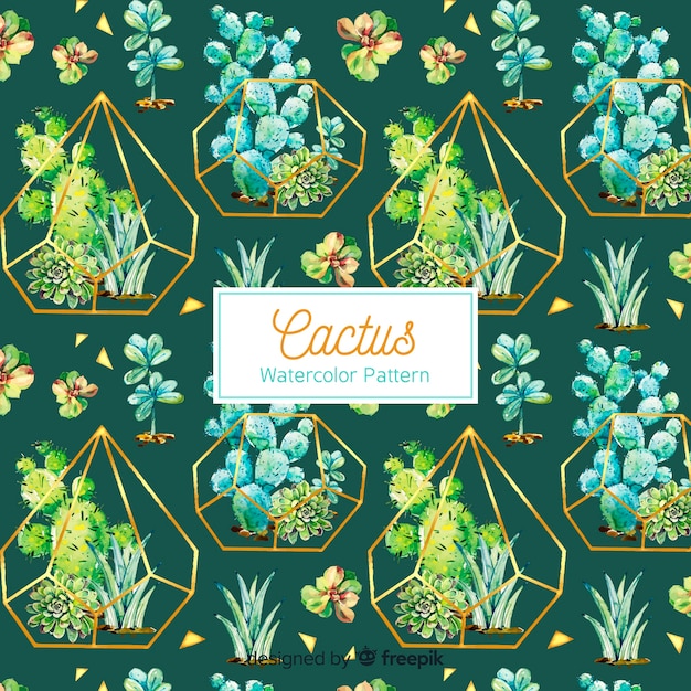 Cactus pattern