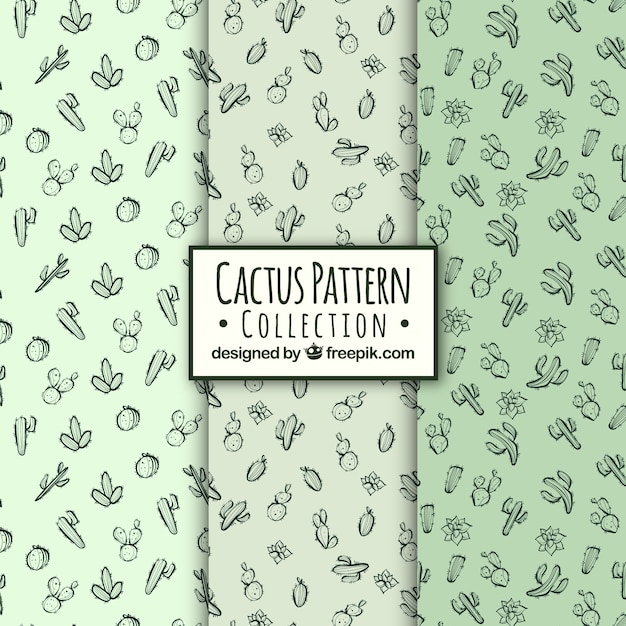 Cactus patterns with artistic style