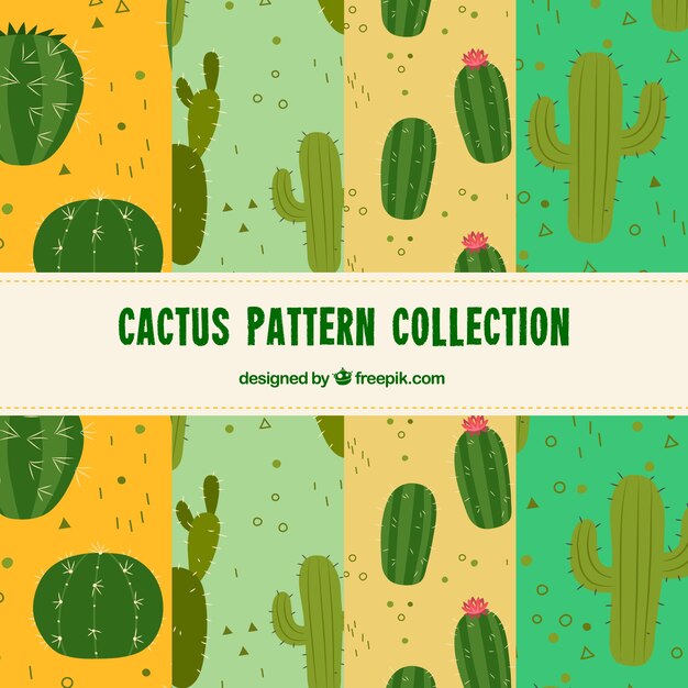 Cactus patterns with hand drawn style