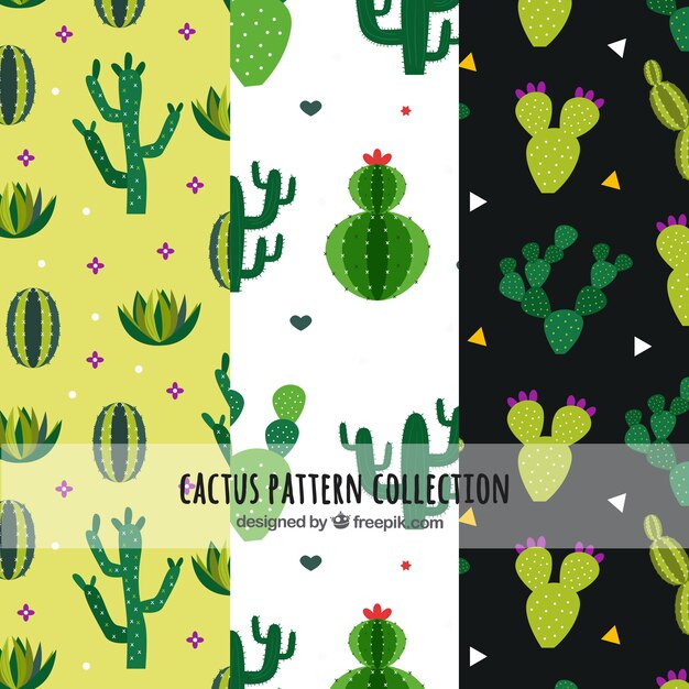 Free vector cactus patterns with hand drawn style