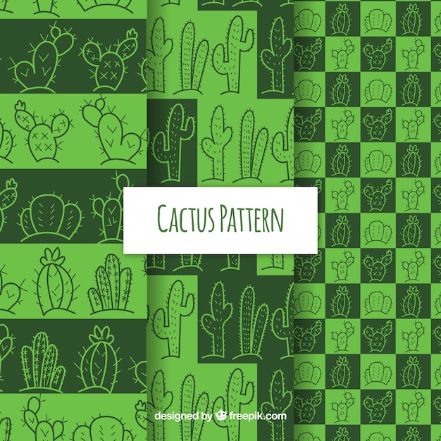 Cactus patterns with original style