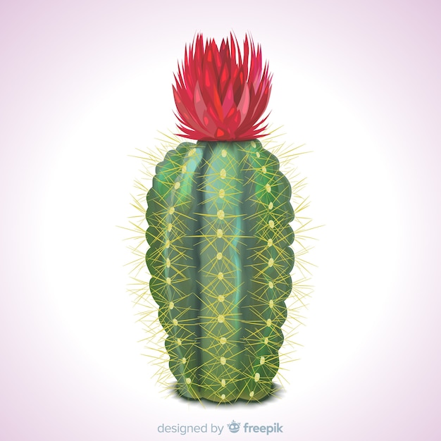 Cactus plant in realistic style