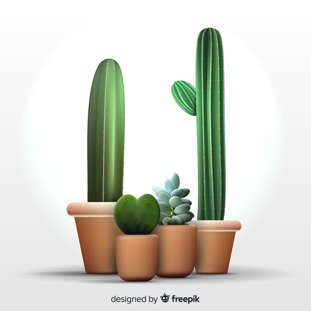 Cactus plant in realistic style