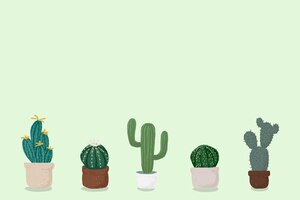 Cactus pot green background vector cute hand drawn style