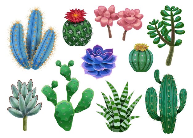 Набор кактусов с изолированными изображениями различных экзотических растений и красочных тропических цветов на пустой векторной иллюстрации фона