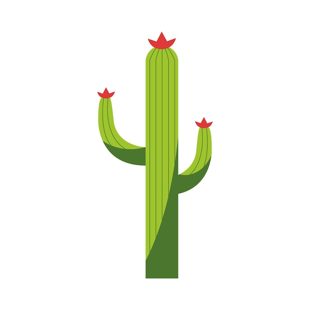 Free vector cactus with flowers icon isolated