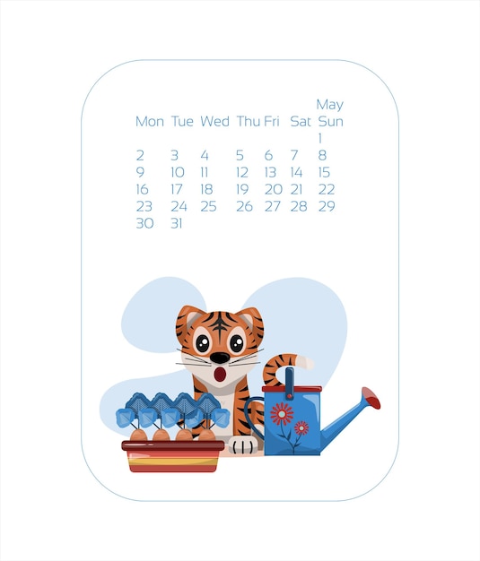 Calendar design template for  year of blue tiger chinese new year may vector stock flat illustration...