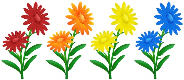 Free vector calendula flowers in four colors