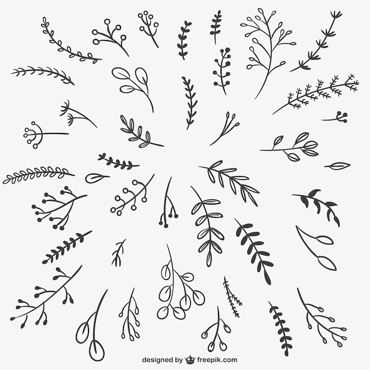 Free Vector calligraphic branches and leaves