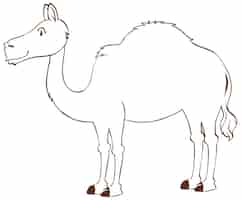 Vettore gratuito doodle del fumetto del cammello su priorità bassa bianca