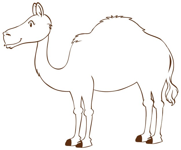 Camel cartoon doodle on white background