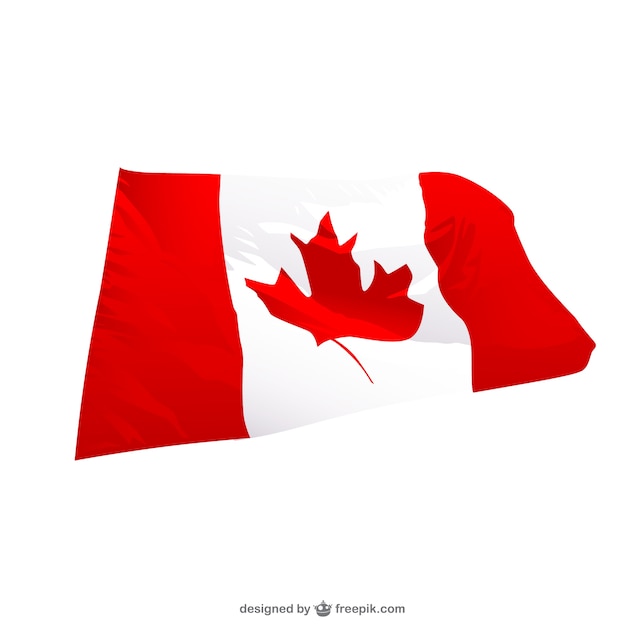 캐나다 흔들며 깃발