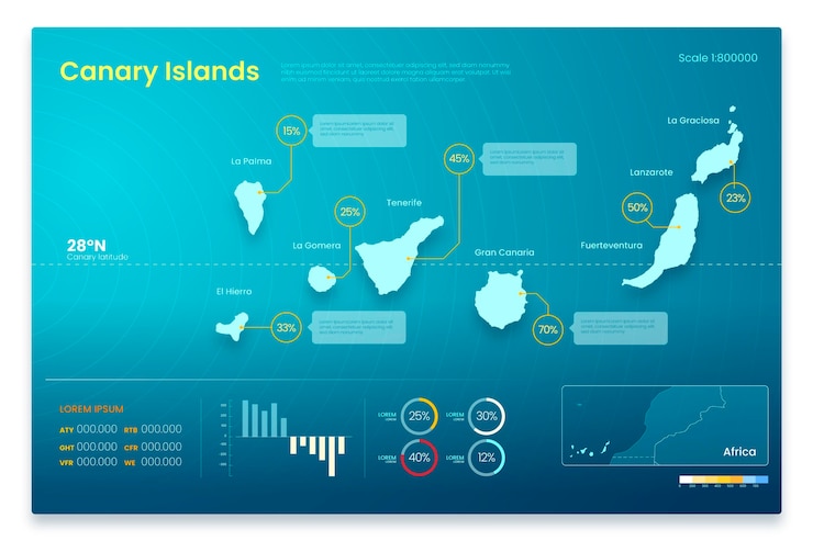 Free Vector canary island infographic design