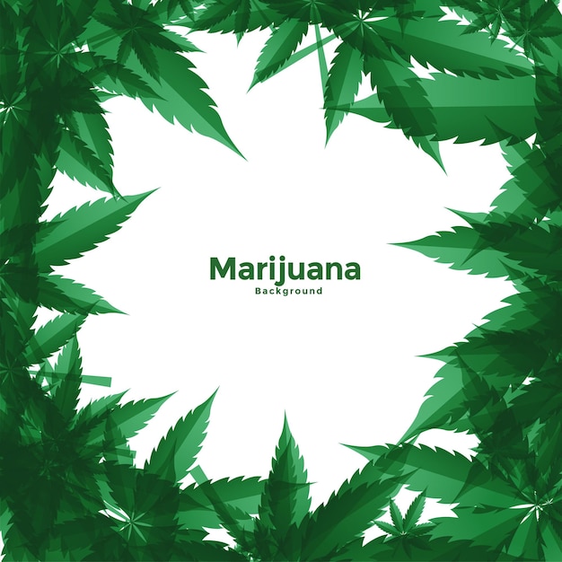 Бесплатное векторное изображение Фон конопли с листьями марихуаны