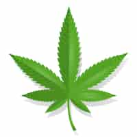 Free vector cannabis leaf icon