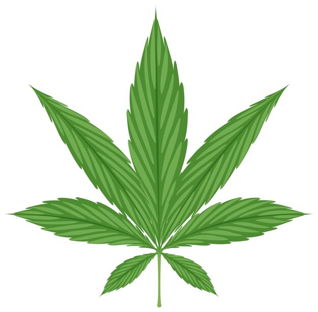 白い背景の大麻の葉