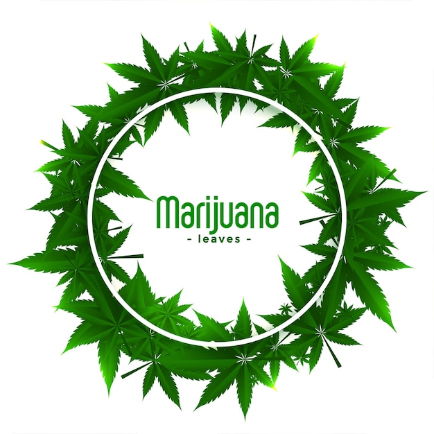 Cannabis marijuana weed frames with leaves