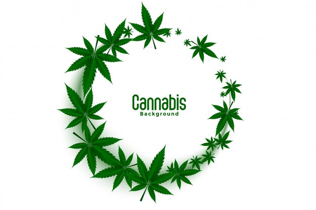 Cannabis or marijuana weed leaves frames background design