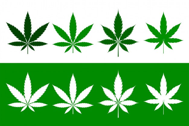 Cannabis marijuana weed leaves set in flat style