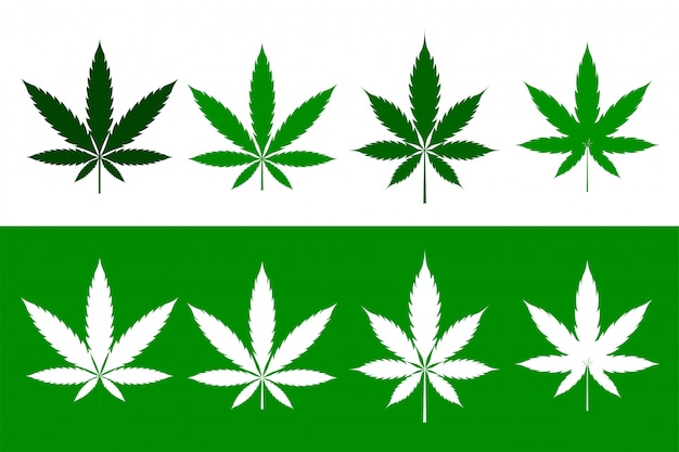Cannabis marijuana weed leaves set in flat style