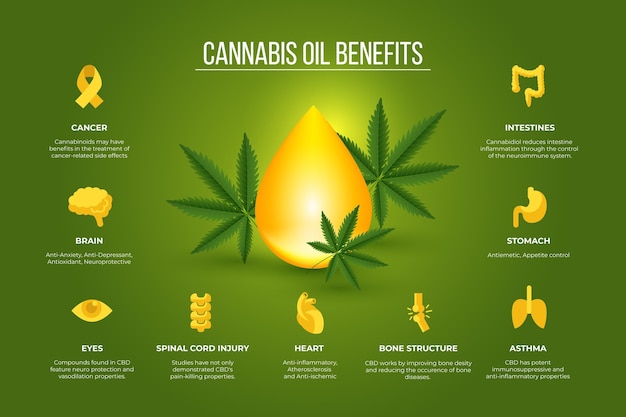 Free vector cannabis oil health benefits infographic