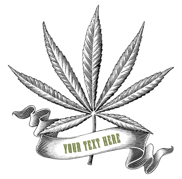 Free Vector | Cannabis with ribbon logo hand draw vintage ...