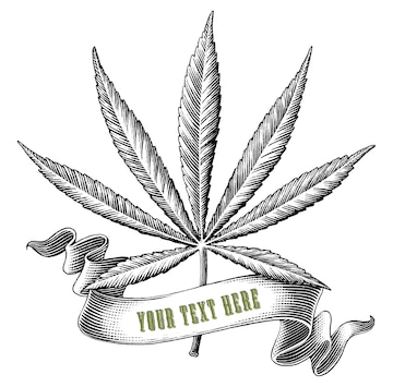 Free Vector | Cannabis with ribbon logo hand draw vintage ...